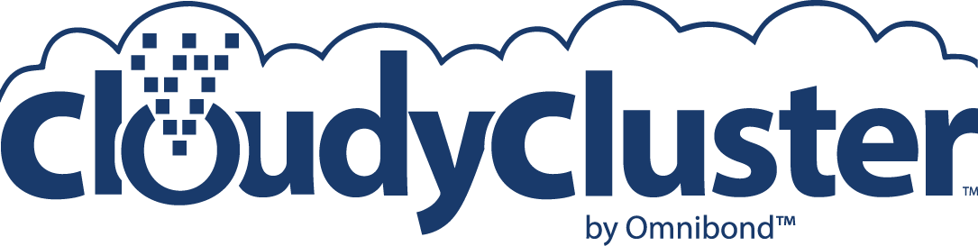 CloudyCluster